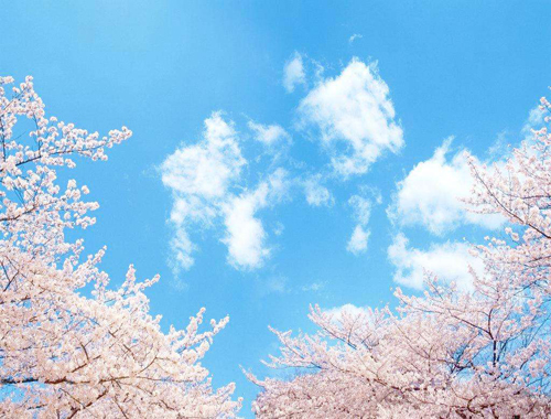 除塵器換布袋我們更專(zhuān)業(yè) 除塵器換布袋我們更專(zhuān)業(yè)